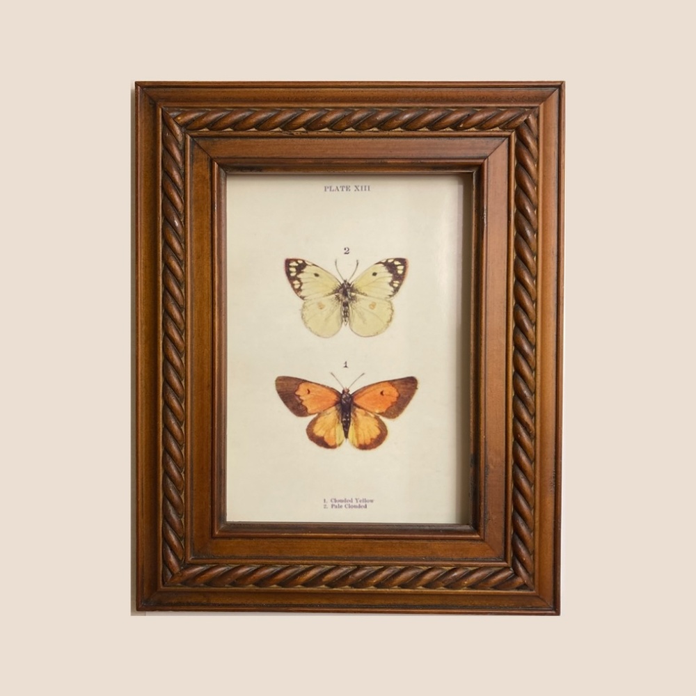 Frame with choice of 5x7 print